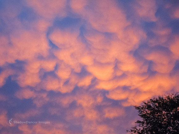 Sunrise-001