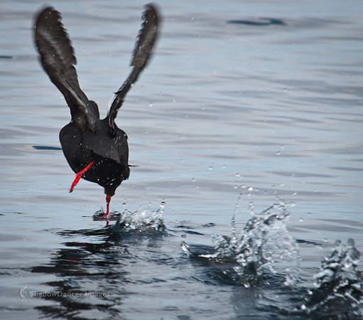 Takeoff