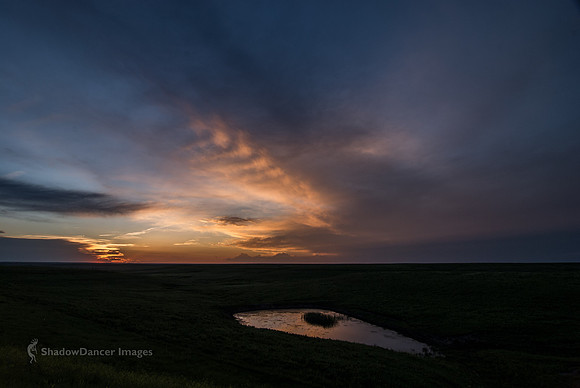 SunsetNearCattlePens-045