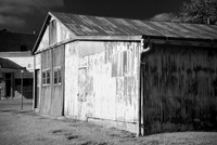 Montrose MO