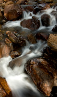 _DSC0563