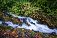 161011–Oregon-114
