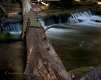 110705–TheWest-310