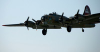 B17-3