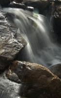 _DSC0579