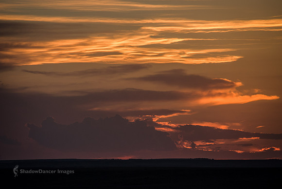 SunsetNearCattlePens-030