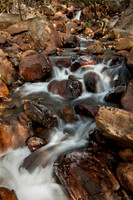 _DSC0559