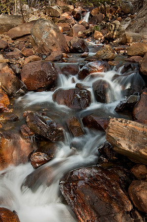 _DSC0559