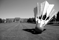 Shuttlecock
