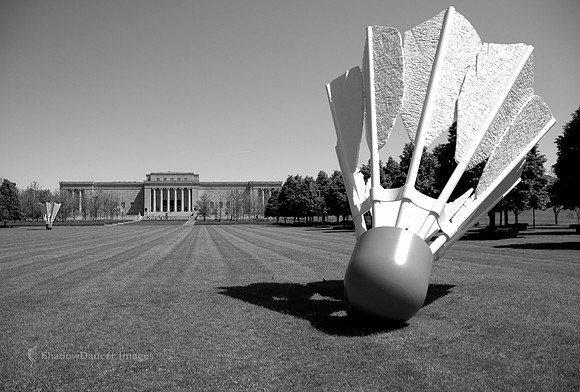 Shuttlecock